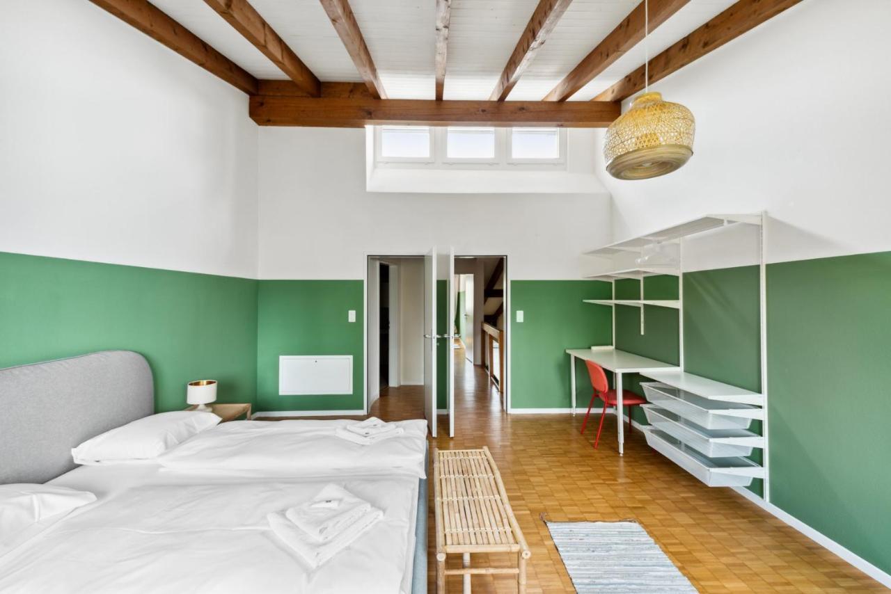 Cozy Apartments Close To The Center Of Zurich Forch Экстерьер фото