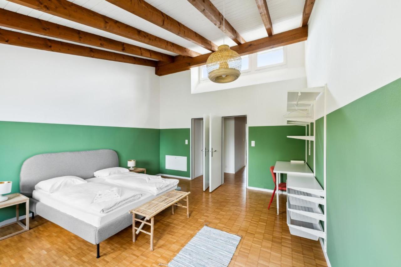 Cozy Apartments Close To The Center Of Zurich Forch Экстерьер фото