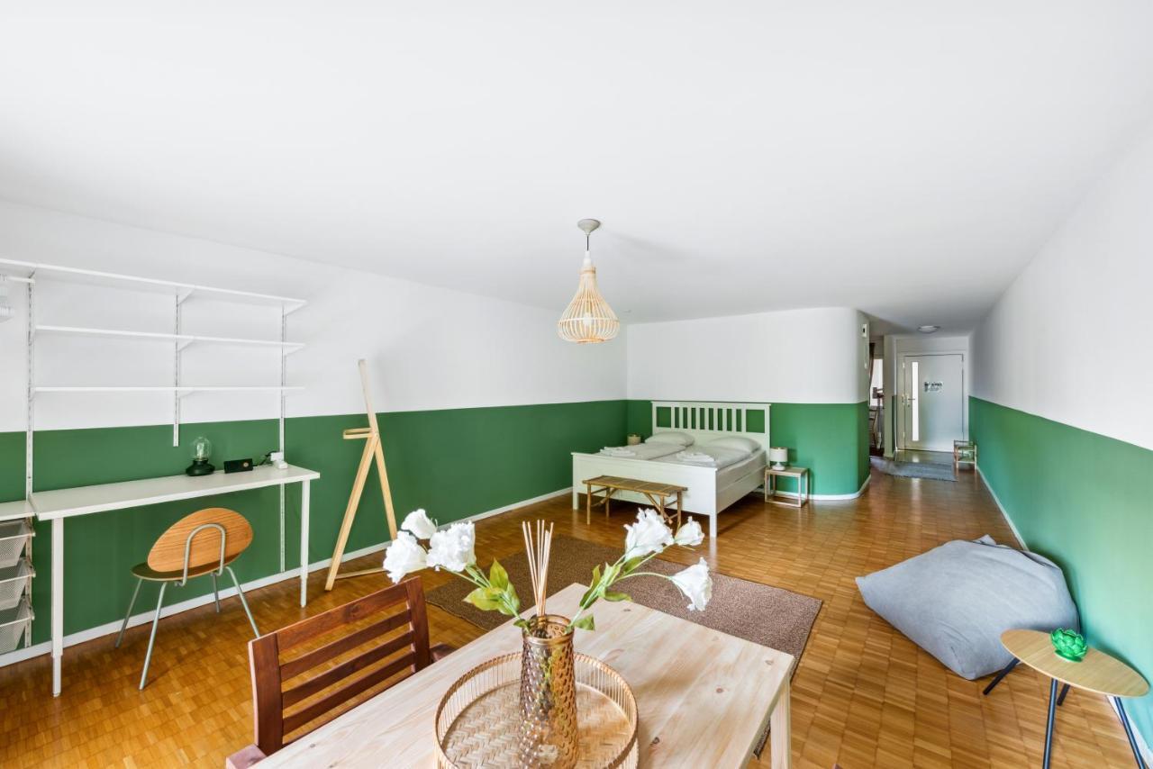 Cozy Apartments Close To The Center Of Zurich Forch Экстерьер фото